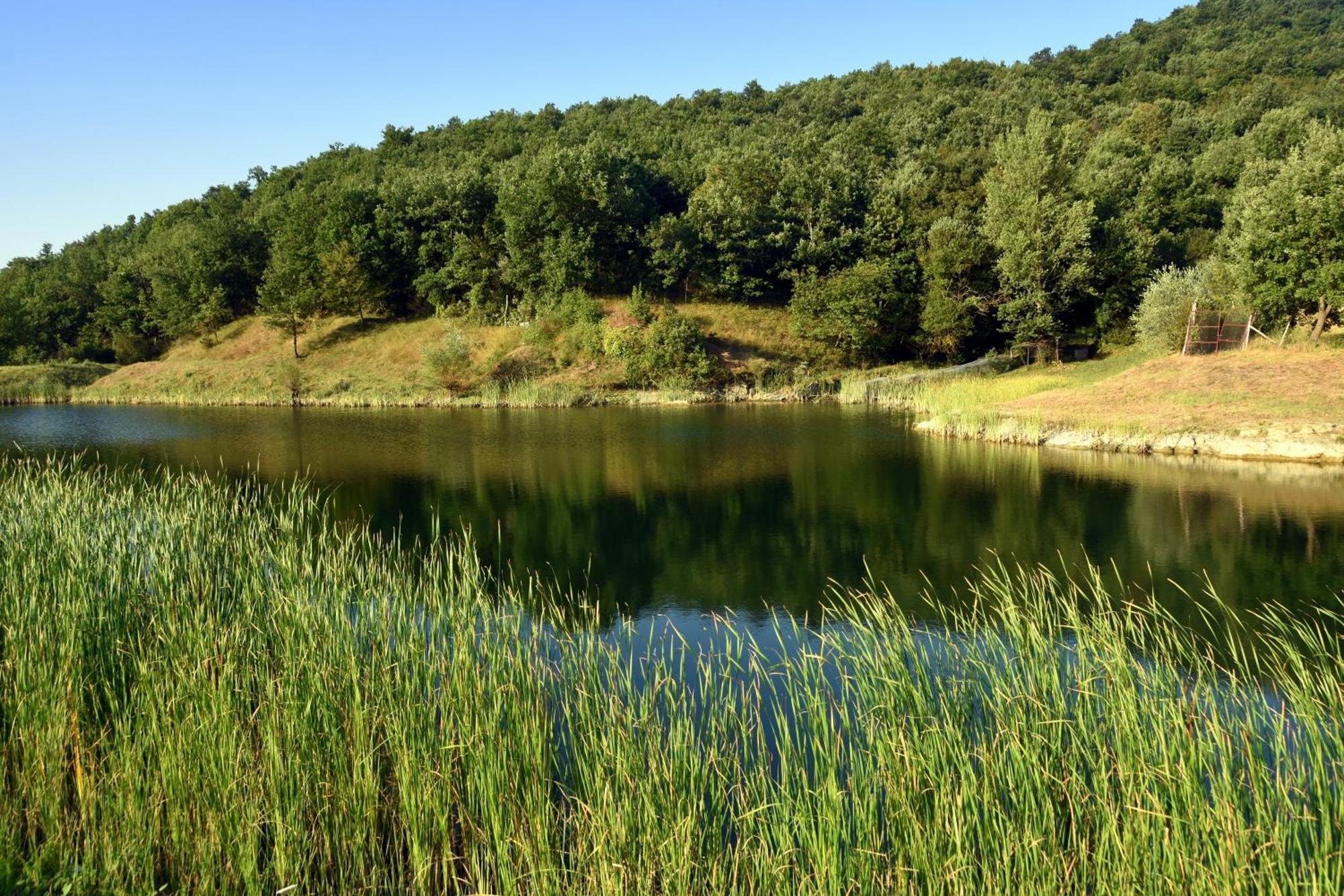 Baciano Azienda Agrituristico Venatoria Capolona Luaran gambar